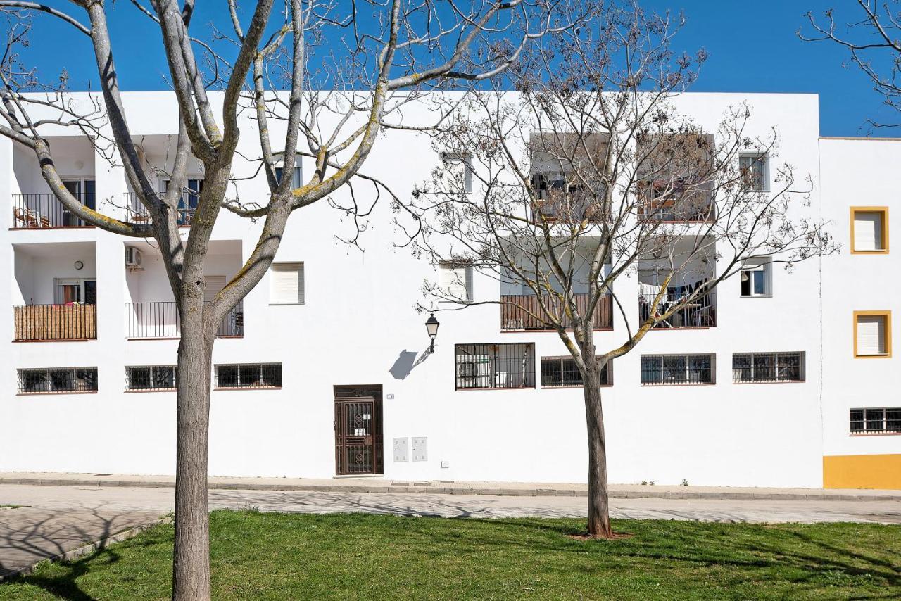 Apartament Casa Paloma *